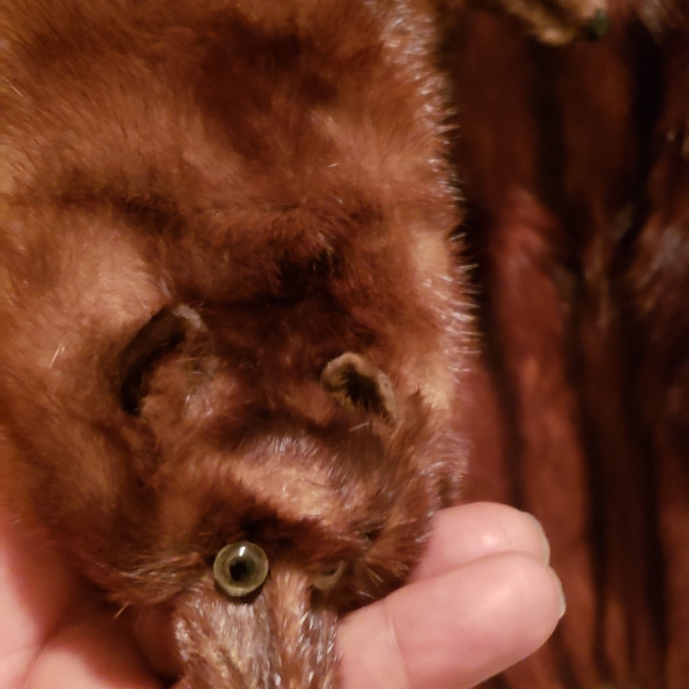 2 Mink coat and a  Shaw